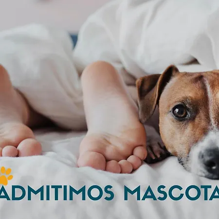 Appartamento Casa Campana 3000 O Grove