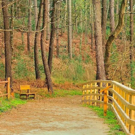 Casa Campana 3000 * O Grove