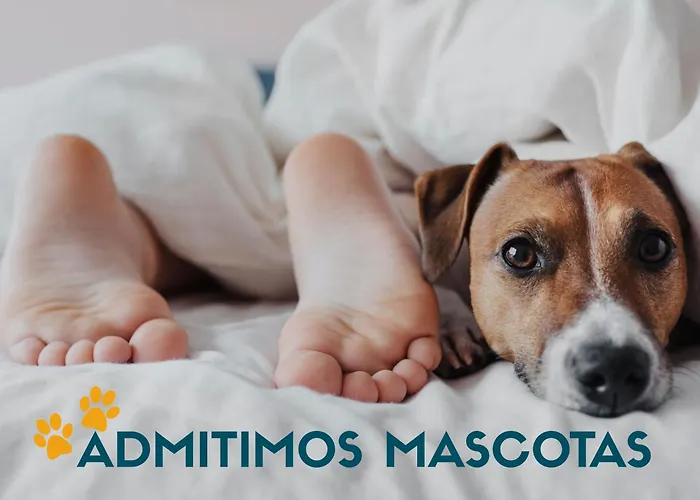 Appartamento Casa Campana 3000 O Grove