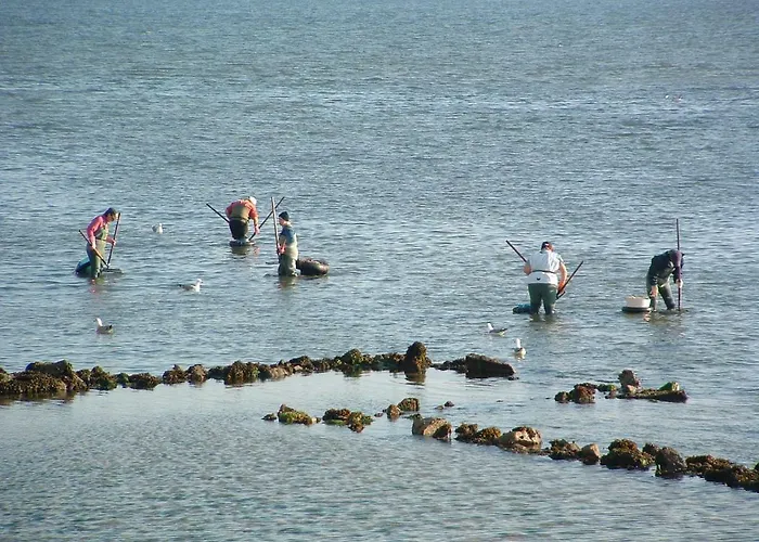 Casa Campana 3000 O Grove